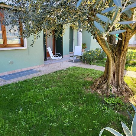 La Casa Sul Parco Apartment Valeggio sul Mincio Exterior foto